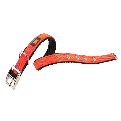 Ferplast Halsband Nylon zweifarbig Metall Schnalle verchromt Hunde Ferplast DUAL CF Colou Ferplast Halsband Nylon zweifarbig Metall Schnalle verchromt Hunde Ferplast DUAL CF Colou von Ferplast