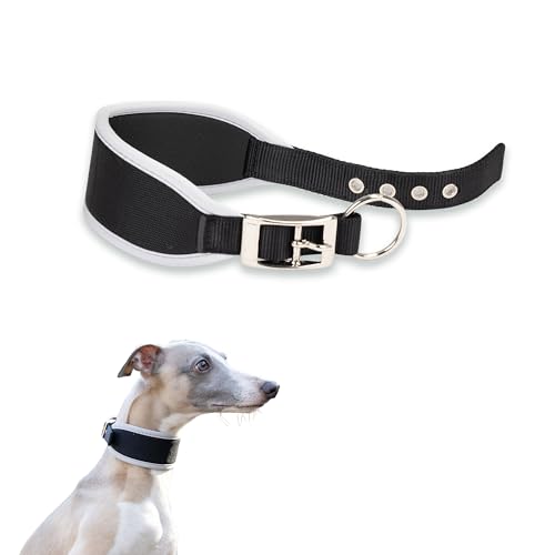 Ferplast Hundehalsband ERGOCOMFORT, Windhundhalsband, weiche Polsterung, Blau von Ferplast