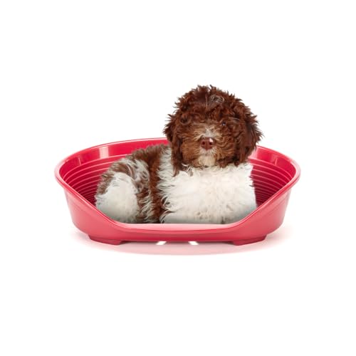 Ferplast Hundebett Katzenbett Kunststoff-Hundebett Medium Hundeliege waschbar Hundekorb atmungsaktiv rutschfest Siesta Deluxe, 74 x 48 x h 25 cm, Bordeaux Ferplast Hundebett Katzenbett Kunststoff-Hundebett Medium Hundeliege waschbar Hundekorb atmungsaktiv rutschfest Siesta Deluxe, 74 x 48 x h 25 cm, Bordeaux von Ferplast