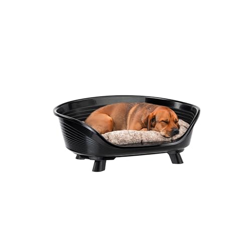 Ferplast Hundebett & Katzenbett mit Baumwollkissen, erhöhtes Hundebett Medium, Hundebett waschbar, Hundekorb, atmungsaktiv & rutschfest, Throne 70,5 x 52 x h 28,5 cm, Schwarz Ferplast Hundebett & Katzenbett mit Baumwollkissen, erhöhtes Hundebett Medium, Hundebett waschbar, Hundekorb, atmungsaktiv & rutschfest, Throne 70,5 x 52 x h 28,5 cm, Schwarz von Ferplast