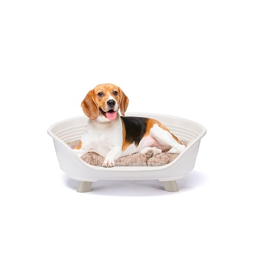 Ferplast Hundebett & Katzenbett mit Baumwollkissen, erhöhtes Hundebett Medium, Hundebett waschbar, Hundekorb, atmungsaktiv & rutschfest, Throne 70,5 x 52 x h 28,5 cm, Weiß Ferplast Hundebett & Katzenbett mit Baumwollkissen, erhöhtes Hundebett Medium, Hundebett waschbar, Hundekorb, atmungsaktiv & rutschfest, Throne 70,5 x 52 x h 28,5 cm, Weiß von Ferplast