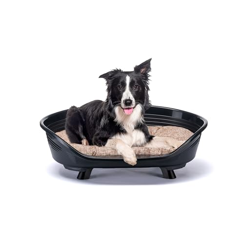 Ferplast Hundebett & Katzenbett mit Baumwollkissen, erhöhtes Hundebett Medium, Hundebett waschbar, Hundekorb, atmungsaktiv & rutschfest, Throne 82 x 59,5 x h 29,5 cm, Schwarz Ferplast Hundebett & Katzenbett mit Baumwollkissen, erhöhtes Hundebett Medium, Hundebett waschbar, Hundekorb, atmungsaktiv & rutschfest, Throne 82 x 59,5 x h 29,5 cm, Schwarz von Ferplast