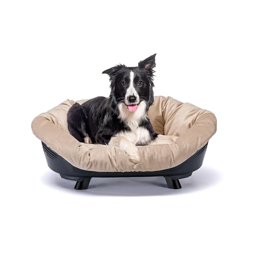 Ferplast Hundebett & Katzenbett mit Kissen, Hundebett waschbar, erhöhtes Hundebett, Hundebett mittelgroße Hunde, atmungsaktiv & rutschfest, Sofa' Throne 85 x 62 x h 33 cm, Schwarz Ferplast Hundebett & Katzenbett mit Kissen, Hundebett waschbar, erhöhtes Hundebett, Hundebett mittelgroße Hunde, atmungsaktiv & rutschfest, Sofa' Throne 85 x 62 x h 33 cm, Schwarz von Ferplast