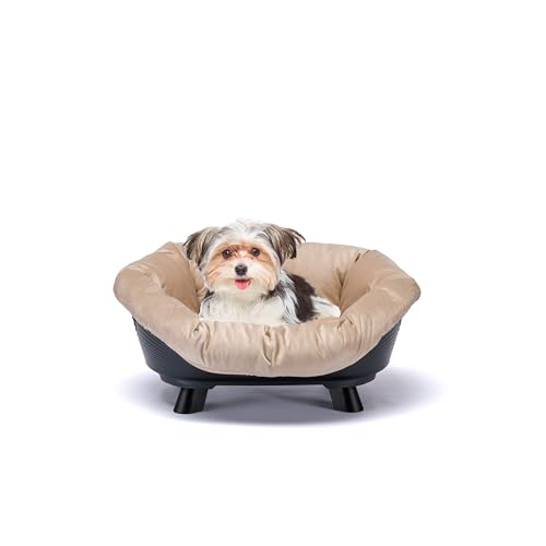 Ferplast Hundebett & Katzenbett mit Kissen, Hundebett waschbar, erhöhtes Hundebett Klein, katzenbett waschbar, atmungsaktiv & rutschfest, Sofa' Throne 64 x 48 x h 29,5 cm, Schwarz Ferplast Hundebett & Katzenbett mit Kissen, Hundebett waschbar, erhöhtes Hundebett Klein, katzenbett waschbar, atmungsaktiv & rutschfest, Sofa' Throne 64 x 48 x h 29,5 cm, Schwarz von Ferplast