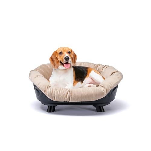 Ferplast Hundebett & Katzenbett mit Kissen, Hundebett waschbar, erhöhtes Hundebett Klein, katzenbett waschbar, atmungsaktiv & rutschfest, Sofa' Throne 73 x 55 x h 32 cm, Schwarz Ferplast Hundebett & Katzenbett mit Kissen, Hundebett waschbar, erhöhtes Hundebett Klein, katzenbett waschbar, atmungsaktiv & rutschfest, Sofa' Throne 73 x 55 x h 32 cm, Schwarz von Ferplast