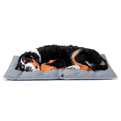 Ferplast Hundematte Extra Groß - Waschbares Hundebett - Hundekissen - Wasserdicht & Kratzfest - Matte für Hundehütten und Auto, Hundekorb - Jolly - 108 x 79 cm, XL, GRAU Ferplast Hundematte Extra Groß - Waschbares Hundebett - Hundekissen - Wasserdicht & Kratzfest - Matte für Hundehütten und Auto, Hundekorb - Jolly - 108 x 79 cm, XL, GRAU von Ferplast