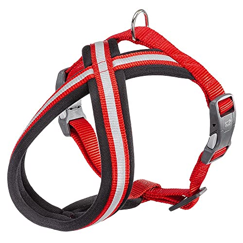 Ferplast Hundegeschirr Daytona Cross, kleines Hundegeschirr aus Nylon, Hundegeschirr mit weicher Polsterung, Reflektierend und Verstellbar. Mit Magnetschnalle. Rot Ferplast Hundegeschirr Daytona Cross, kleines Hundegeschirr aus Nylon, Hundegeschirr mit weicher Polsterung, Reflektierend und Verstellbar. Mit Magnetschnalle. Rot von Ferplast