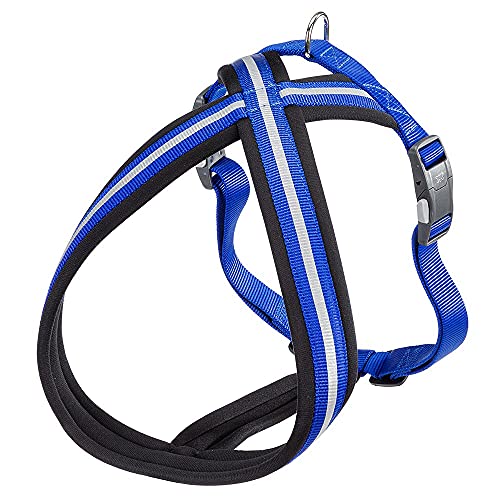 Ferplast Hundegeschirr Daytona Cross, großes Hundegeschirr aus Nylon, Hundegeschirr mit weicher Polsterung, Reflektierend und Verstellbar. Mit Magnetschnalle. Blau Ferplast Hundegeschirr Daytona Cross, großes Hundegeschirr aus Nylon, Hundegeschirr mit weicher Polsterung, Reflektierend und Verstellbar. Mit Magnetschnalle. Blau von Ferplast