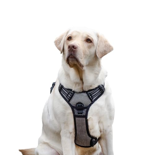 Ferplast Hundegeschirr Grosse Hunde, 2 Haken für maximale Kontrolle, Anti-Zug-Hundegeschirr, Verstellbar, Reflektierend und Atmungsaktiv, Hundegeschirr ideal für das Training L, grau Ferplast Hundegeschirr Grosse Hunde, 2 Haken für maximale Kontrolle, Anti-Zug-Hundegeschirr, Verstellbar, Reflektierend und Atmungsaktiv, Hundegeschirr ideal für das Training L, grau von Ferplast