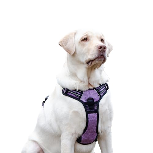 Ferplast Hundegeschirr Grosse Hunde, 2 Haken für maximale Kontrolle, Anti-Zug-Hundegeschirr, Verstellbar, Reflektierend und Atmungsaktiv, Hundegeschirr ideal für das Training L, lila Ferplast Hundegeschirr Grosse Hunde, 2 Haken für maximale Kontrolle, Anti-Zug-Hundegeschirr, Verstellbar, Reflektierend und Atmungsaktiv, Hundegeschirr ideal für das Training L, lila von Ferplast