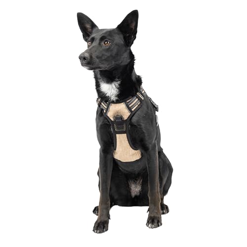 Ferplast Hundegeschirr Mittelgroße Hunde, 2 Haken für maximale Kontrolle, Anti-Zug-Hundegeschirr, Verstellbar, Reflektierend und Atmungsaktiv, Hundegeschirr ideal für das Training M, Beige Ferplast Hundegeschirr Mittelgroße Hunde, 2 Haken für maximale Kontrolle, Anti-Zug-Hundegeschirr, Verstellbar, Reflektierend und Atmungsaktiv, Hundegeschirr ideal für das Training M, Beige von Ferplast