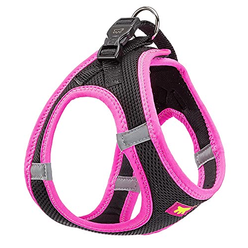 Ferplast Hundegeschirr Mittelgroße Hunde Kaori M, atmungsaktives Hundegeschirr, gepolstert und verstellbar, leicht zu tragen, reflektierende Kanten, Brustumfang 44–48 cm. Rose Ferplast Hundegeschirr Mittelgroße Hunde Kaori M, atmungsaktives Hundegeschirr, gepolstert und verstellbar, leicht zu tragen, reflektierende Kanten, Brustumfang 44–48 cm. Rose von Ferplast