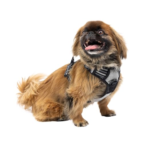 Ferplast Hundegeschirr kleine Hunde, 2 Haken für maximale Kontrolle, Anti-Zug-Hundegeschirr, Verstellbar, Reflektierend und Atmungsaktiv, Hundegeschirr ideal für das Training S, grau Ferplast Hundegeschirr kleine Hunde, 2 Haken für maximale Kontrolle, Anti-Zug-Hundegeschirr, Verstellbar, Reflektierend und Atmungsaktiv, Hundegeschirr ideal für das Training S, grau von Ferplast