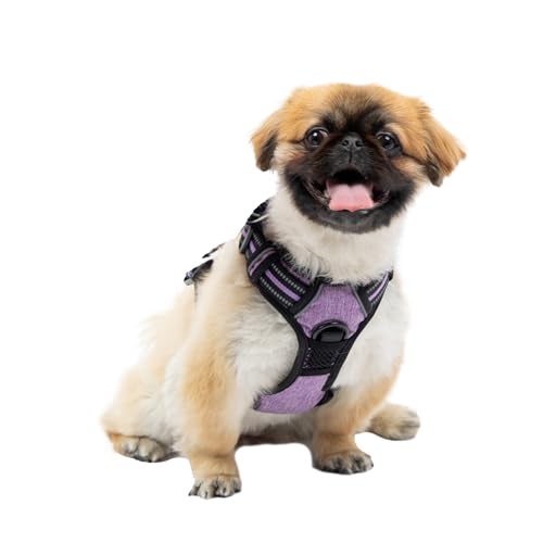 Ferplast Hundegeschirr kleine Hunde, 2 Haken für maximale Kontrolle, Anti-Zug-Hundegeschirr, Verstellbar, Reflektierend und Atmungsaktiv, Hundegeschirr ideal für das Training S, lila Ferplast Hundegeschirr kleine Hunde, 2 Haken für maximale Kontrolle, Anti-Zug-Hundegeschirr, Verstellbar, Reflektierend und Atmungsaktiv, Hundegeschirr ideal für das Training S, lila von Ferplast