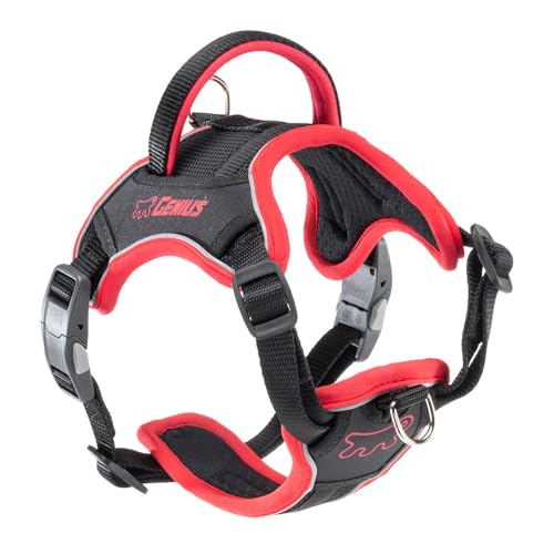 Ferplast Hundegeschirr kleine Hunde Genius, Reflektierend, Atmungsaktiv, Einstellbar, Schnellverschluss, Hundegeschirr mit Griff, Rot Ferplast Hundegeschirr kleine Hunde Genius, Reflektierend, Atmungsaktiv, Einstellbar, Schnellverschluss, Hundegeschirr mit Griff, Rot von Ferplast