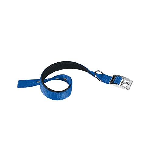 Ferplast Hundehalsband, Größe M, verstellbar, gepolstert, Nylon, Metallschnalle, Halsumfang 32–39 cm, Blau Ferplast Hundehalsband, Größe M, verstellbar, gepolstert, Nylon, Metallschnalle, Halsumfang 32–39 cm, Blau von Ferplast