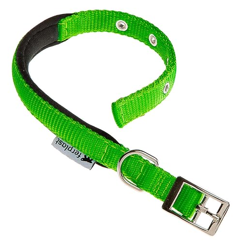Ferplast Hundehalsband, Größe M, verstellbar, gepolstert, Nylon, Metallschnalle, Halsumfang 32–39 cm, Grün Ferplast Hundehalsband, Größe M, verstellbar, gepolstert, Nylon, Metallschnalle, Halsumfang 32–39 cm, Grün von Ferplast