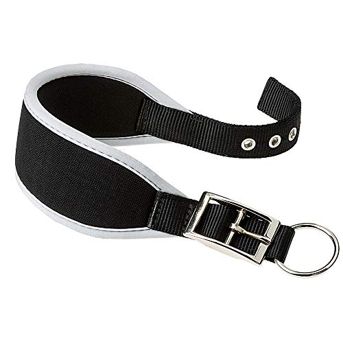 Ferplast Hundehalsband ERGOCOMFORT, Windhundhalsband, weiche Polsterung, Silber Ferplast Hundehalsband ERGOCOMFORT, Windhundhalsband, weiche Polsterung, Silber von Ferplast