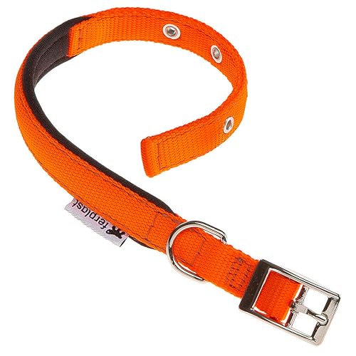 Ferplast Hundehalsband für kleine Hunde, verstellbar, gepolstert, Nylon, Metallschnalle, Halsumfang 23–31 cm, Orange von Ferplast