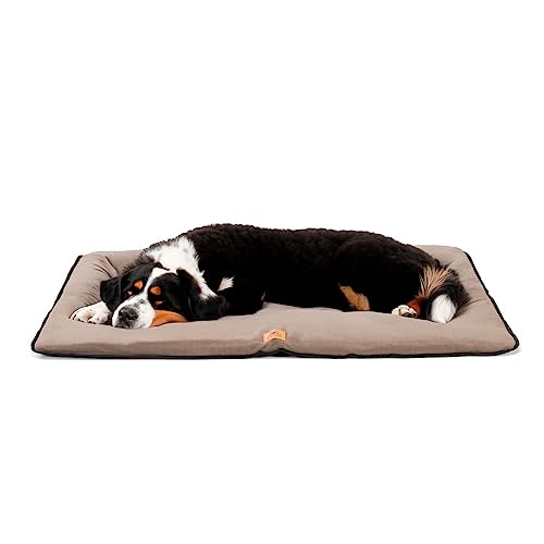 Ferplast Hundekissen Hundesofa Hundebett Große Hunde Zweiseitig Kratzfestes und wasserdichtes Gewebe, warmes MikrofleeceWaschbare Hundematte108 x 79 x 3,5 cm.Schwarz Ferplast Hundekissen Hundesofa Hundebett Große Hunde Zweiseitig Kratzfestes und wasserdichtes Gewebe, warmes MikrofleeceWaschbare Hundematte108 x 79 x 3,5 cm.Schwarz von Ferplast