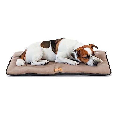 Ferplast Hundekissen Hundesofa Hundebett Mittelgroße Hunde Zweiseitig Kratzfestes und wasserdichtes Gewebe, warmes MikrofleeceWaschbare Hundematte65 x 48 x 3,5 cm.Schwarz Ferplast Hundekissen Hundesofa Hundebett Mittelgroße Hunde Zweiseitig Kratzfestes und wasserdichtes Gewebe, warmes MikrofleeceWaschbare Hundematte65 x 48 x 3,5 cm.Schwarz von Ferplast