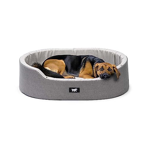 Ferplast Hundekissen Hundesofa Hundebett Mittelgroße Hunde mit Antibakteriellem und Antiviralem Schutz, Baumwolle, Waschbar, 65 x 46 x 17 cm. Grau Ferplast Hundekissen Hundesofa Hundebett Mittelgroße Hunde mit Antibakteriellem und Antiviralem Schutz, Baumwolle, Waschbar, 65 x 46 x 17 cm. Grau von Ferplast