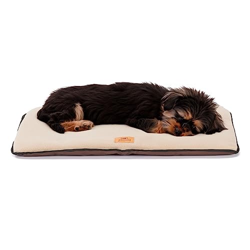 Ferplast Hundekissen Hundesofa Hundebett kleine Hunde Zweiseitig Kratzfestes und wasserdichtes Gewebe, warmes MikrofleeceWaschbare Hundematte57 x 38 x 3,5 cm.Braun Ferplast Hundekissen Hundesofa Hundebett kleine Hunde Zweiseitig Kratzfestes und wasserdichtes Gewebe, warmes MikrofleeceWaschbare Hundematte57 x 38 x 3,5 cm.Braun von Ferplast