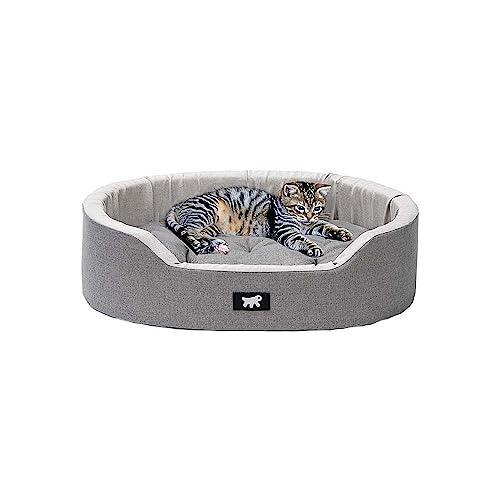 Ferplast Hundekissen Hundesofa Hundebett kleine Hunde mit Antibakteriellem und Antiviralem Schutz, Baumwolle, Waschbar, 55 x 41 x 15 cm. Grau Ferplast Hundekissen Hundesofa Hundebett kleine Hunde mit Antibakteriellem und Antiviralem Schutz, Baumwolle, Waschbar, 55 x 41 x 15 cm. Grau von Ferplast