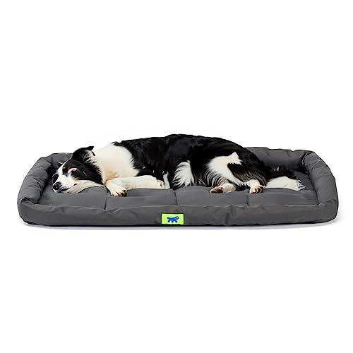 Ferplast Hundekissen Hundesofa Hundebette für Große Hunde Hundekorb Bezug Orthopädisches Hundebett Hundematratze Waschbar Hundematte Wasserdicht 91 x 58 x 5 cm. Schwarz Ferplast Hundekissen Hundesofa Hundebette für Große Hunde Hundekorb Bezug Orthopädisches Hundebett Hundematratze Waschbar Hundematte Wasserdicht 91 x 58 x 5 cm. Schwarz von Ferplast