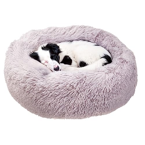 Ferplast Hundekissen Katzenschlafplatz Rund Flauschig Katzenkissen Weich Plüsch Katzenkorb 80 x 17 cm. Grau Ferplast Hundekissen Katzenschlafplatz Rund Flauschig Katzenkissen Weich Plüsch Katzenkorb 80 x 17 cm. Grau von Ferplast