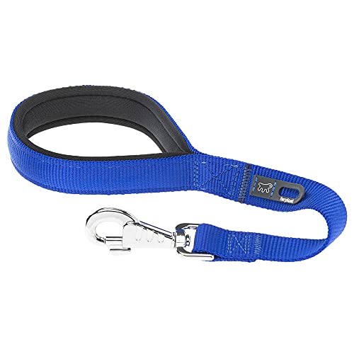 Ferplast Hundeleine Daytona, Kurze Hundeleine mittlere/große Hunde, aus Nylon, 45 cm, mit bequemem, gepolstertem Griff und Metall-Karabinerhaken. Blau Ferplast Hundeleine Daytona, Kurze Hundeleine mittlere/große Hunde, aus Nylon, 45 cm, mit bequemem, gepolstertem Griff und Metall-Karabinerhaken. Blau von Ferplast