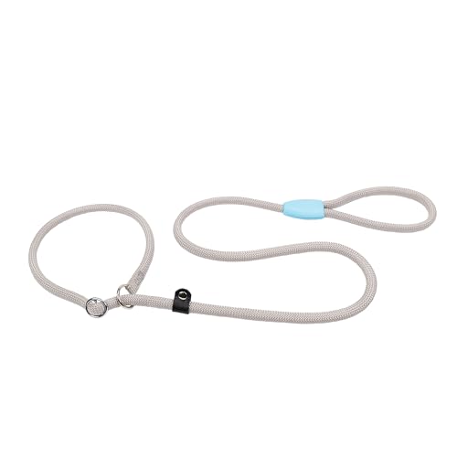Ferplast Hundeleine und Halsband Sport Robuste verstellbarem Hundeleine aus weichem Nylon, Griff für sichere Kontrolle, Länge 170 cm, Grau Ferplast Hundeleine und Halsband Sport Robuste verstellbarem Hundeleine aus weichem Nylon, Griff für sichere Kontrolle, Länge 170 cm, Grau von Ferplast