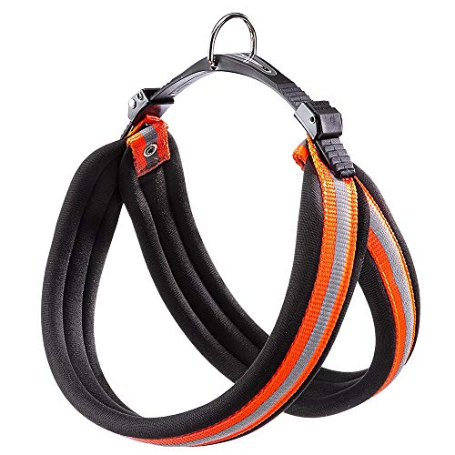 Ferplast Hundetrainingshalsband 1 Stück 250 g von Ferplast