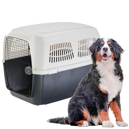 Ferplast Hundetransportbox Clipper 7, IATA-zugelassene Hundetransportbox, große Hundetransportbox max 60 kg Ferplast Hundetransportbox Clipper 7, IATA-zugelassene Hundetransportbox, große Hundetransportbox max 60 kg von Ferplast