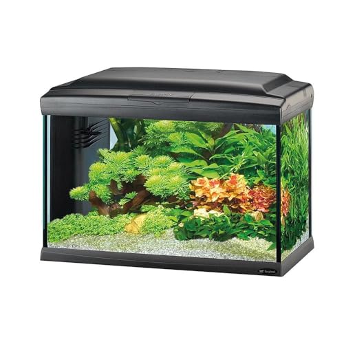 Ferplast Hydor Glasaquarium CAYMAN 60 PROFESSIONAL LED, LED-Lampen für Süßwasser, 75 L Fassungsvermögen, Innenfilter und Heizung, Schwarz Ferplast Hydor Glasaquarium CAYMAN 60 PROFESSIONAL LED, LED-Lampen für Süßwasser, 75 L Fassungsvermögen, Innenfilter und Heizung, Schwarz von Ferplast
