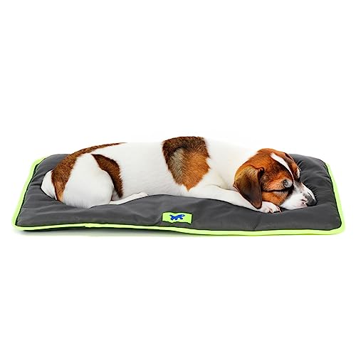 Ferplast Hundematte & Katzenmatte Klein - Waschbares Hundebett - Hundekissen - Wasserdicht & Kratzfest - Matte für Hundehütten und Auto, Hundekorb - Jolly - 65 x 48 cm, SM, SCHWARZ Ferplast Hundematte & Katzenmatte Klein - Waschbares Hundebett - Hundekissen - Wasserdicht & Kratzfest - Matte für Hundehütten und Auto, Hundekorb - Jolly - 65 x 48 cm, SM, SCHWARZ von Ferplast