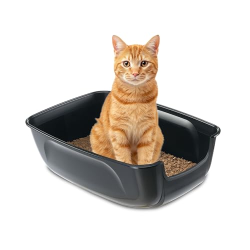 Ferplast Katzentoilette XXL, Offen, Leicht zu reinigen, Schwarz, L 67 × B 49 × H 47 cm Ferplast Katzentoilette XXL, Offen, Leicht zu reinigen, Schwarz, L 67 × B 49 × H 47 cm von Ferplast