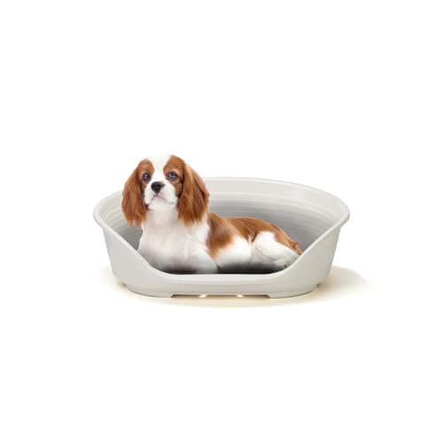 Ferplast Hundebett Katzenbett Kunststoff-Hundebett Medium Hundeliege waschbar Hundekorb atmungsaktiv rutschfest Siesta Deluxe, 62 x 41 x h 23,5 cm, Weiss Ferplast Hundebett Katzenbett Kunststoff-Hundebett Medium Hundeliege waschbar Hundekorb atmungsaktiv rutschfest Siesta Deluxe, 62 x 41 x h 23,5 cm, Weiss von Ferplast