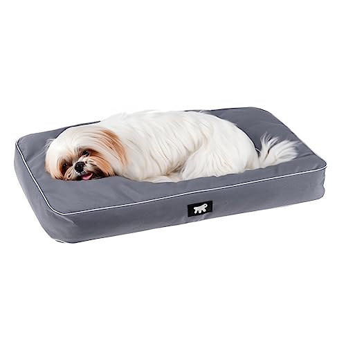 FERPLAST Hundematte & Katzenmatte Klein - Orthopädisches Hundebett - Hundebett Waschbar & Kratzfest - Hundekissen - Hundebett Flauschig - Herausnehmbare Polsterung - Polo - 65 x 40 x h 8 CM, S, GRAU FERPLAST Hundematte & Katzenmatte Klein - Orthopädisches Hundebett - Hundebett Waschbar & Kratzfest - Hundekissen - Hundebett Flauschig - Herausnehmbare Polsterung - Polo - 65 x 40 x h 8 CM, S, GRAU von Ferplast