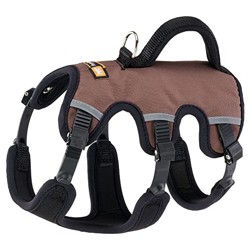 Ferplast Hundegeschirr Kleiner Hund ERGOTREKKING XS, Ausbruchsicheres Hundegeschirr, Greyhound, Perfekte Passform, Verstellbares Geschirr für Hunde, Reflektierend, Gepolstert, 6 Verschlüsse Ferplast Hundegeschirr Kleiner Hund ERGOTREKKING XS, Ausbruchsicheres Hundegeschirr, Greyhound, Perfekte Passform, Verstellbares Geschirr für Hunde, Reflektierend, Gepolstert, 6 Verschlüsse von Ferplast