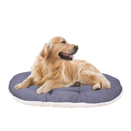 FERPLAST Hundebett Groß - Hundebett Waschbar - Hundekissen - Matte für Hundehütten, Zwinger und Auto - Hundebett Flauschig - Relax - 100 x 63 CM, XL, BEIGE FERPLAST Hundebett Groß - Hundebett Waschbar - Hundekissen - Matte für Hundehütten, Zwinger und Auto - Hundebett Flauschig - Relax - 100 x 63 CM, XL, BEIGE von Ferplast