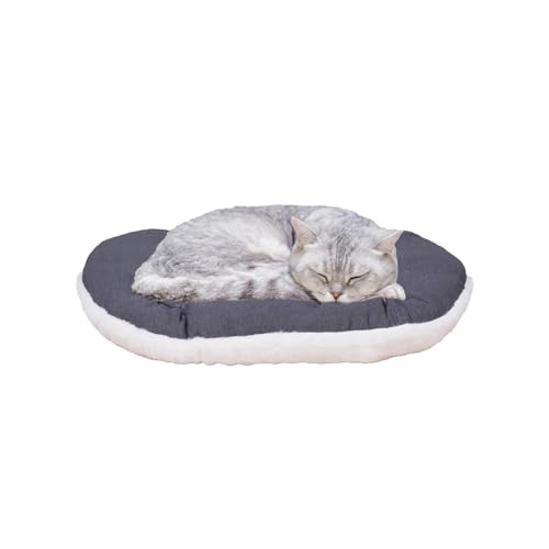 FERPLAST Hundebett & Katzenbett - Klein, Waschbar, Flauschig - Hundekissen, Matte für Hundehütten, Zwinger und Auto - Relax - 43 x 30 CM, XS, Beige FERPLAST Hundebett & Katzenbett - Klein, Waschbar, Flauschig - Hundekissen, Matte für Hundehütten, Zwinger und Auto - Relax - 43 x 30 CM, XS, Beige von Ferplast