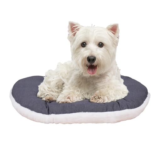 FERPLAST Hundebett & Katzenbett - Hundebett Klein - Hundebett Waschbar - Hundekissen - Matte für Hundehütten, Zwinger und Auto - Hundebett Flauschig - Relax - 55 x 36 CM, S, BEIGE FERPLAST Hundebett & Katzenbett - Hundebett Klein - Hundebett Waschbar - Hundekissen - Matte für Hundehütten, Zwinger und Auto - Hundebett Flauschig - Relax - 55 x 36 CM, S, BEIGE von Ferplast