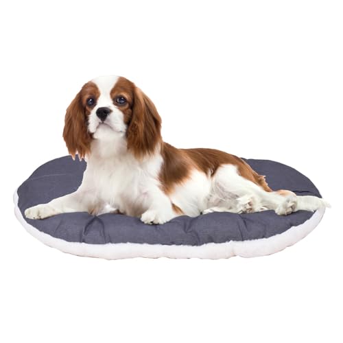 FERPLAST Hundebett & Katzenbett - Hundebett Mittel - Hundebett Waschbar - Hundekissen - Matte für Hundehütten, Zwinger und Auto - Hundebett Flauschig - Relax - 65 x 42 CM, M, BEIGE von Ferplast