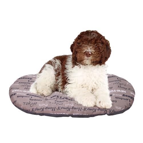 FERPLAST Hundebett & Katzenbett - Mittel, Waschbar, Flauschig - Hundekissen, Matte für Hundehütten, Zwinger und Auto - Relax - 78 x 50 CM, ML, Braun FERPLAST Hundebett & Katzenbett - Mittel, Waschbar, Flauschig - Hundekissen, Matte für Hundehütten, Zwinger und Auto - Relax - 78 x 50 CM, ML, Braun von Ferplast