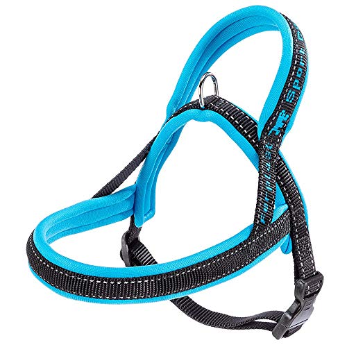 Ferplast Hundegeschirr Sport Dog, Hundegeschirr Kleine Hunde, Hundegeschirr Skandinavischen Stil, Praktischer Schnapper-Verschluss, Weiche Polsterung, Reflektierende Nähte, Blau Ferplast Hundegeschirr Sport Dog, Hundegeschirr Kleine Hunde, Hundegeschirr Skandinavischen Stil, Praktischer Schnapper-Verschluss, Weiche Polsterung, Reflektierende Nähte, Blau von Ferplast