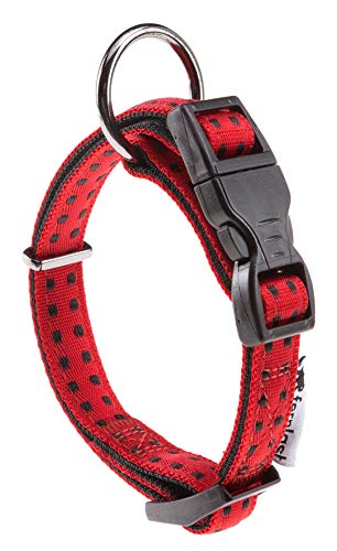 Ferplast Trainingshalsband für Hunde, 250 g, 1 Stück Ferplast Trainingshalsband für Hunde, 250 g, 1 Stück von Ferplast