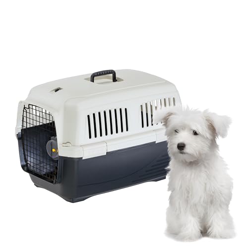 Ferplast Katzentransportbox Clipper 3, Hundetransportbox, IATA-zugelassene Reisebox, Haustiertransportbox für kleine Hunde und Katzen bis 15 kg, für Autoreisen, Flugzeug, Zug, 64 x 43 x H 43 cm von Ferplast