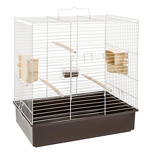 Ferplast Vogelkäfig Wellensittich Käfig Exotenkäfig, inkl. Vogelspielzeug, Vogel-Futternapf, Vogel-Sitzstangen, 61,5 x 40 x h 65 cm Ferplast Vogelkäfig Wellensittich Käfig Exotenkäfig, inkl. Vogelspielzeug, Vogel-Futternapf, Vogel-Sitzstangen, 61,5 x 40 x h 65 cm von Ferplast