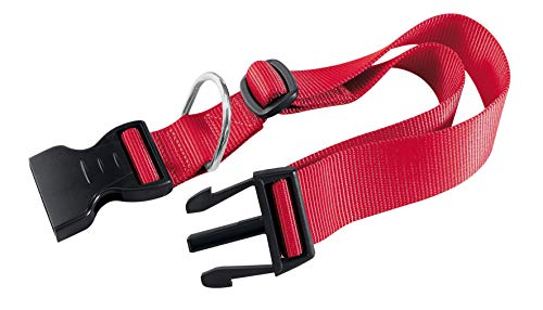 Ferplast Halsband Hunde Nylon verstellbar Ferplast CLUB verschiedene Größen Farben Ferplast Halsband Hunde Nylon verstellbar Ferplast CLUB verschiedene Größen Farben von Ferplast
